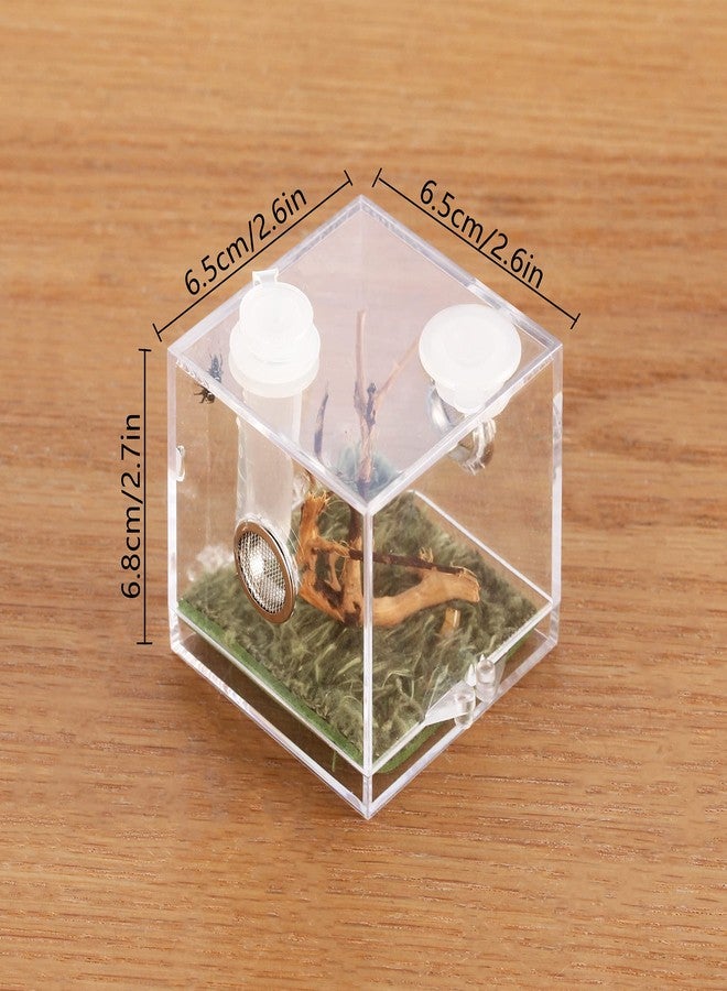 crapelles Jumping Spider Micro Big Habitat, Small Pet Insect Breeding Box, 360 Degree High Transparent Reptile Cage, Acrylic Case Mini Carrier for Amphibians, Feeding Container Enclosure Accessories - Image 2